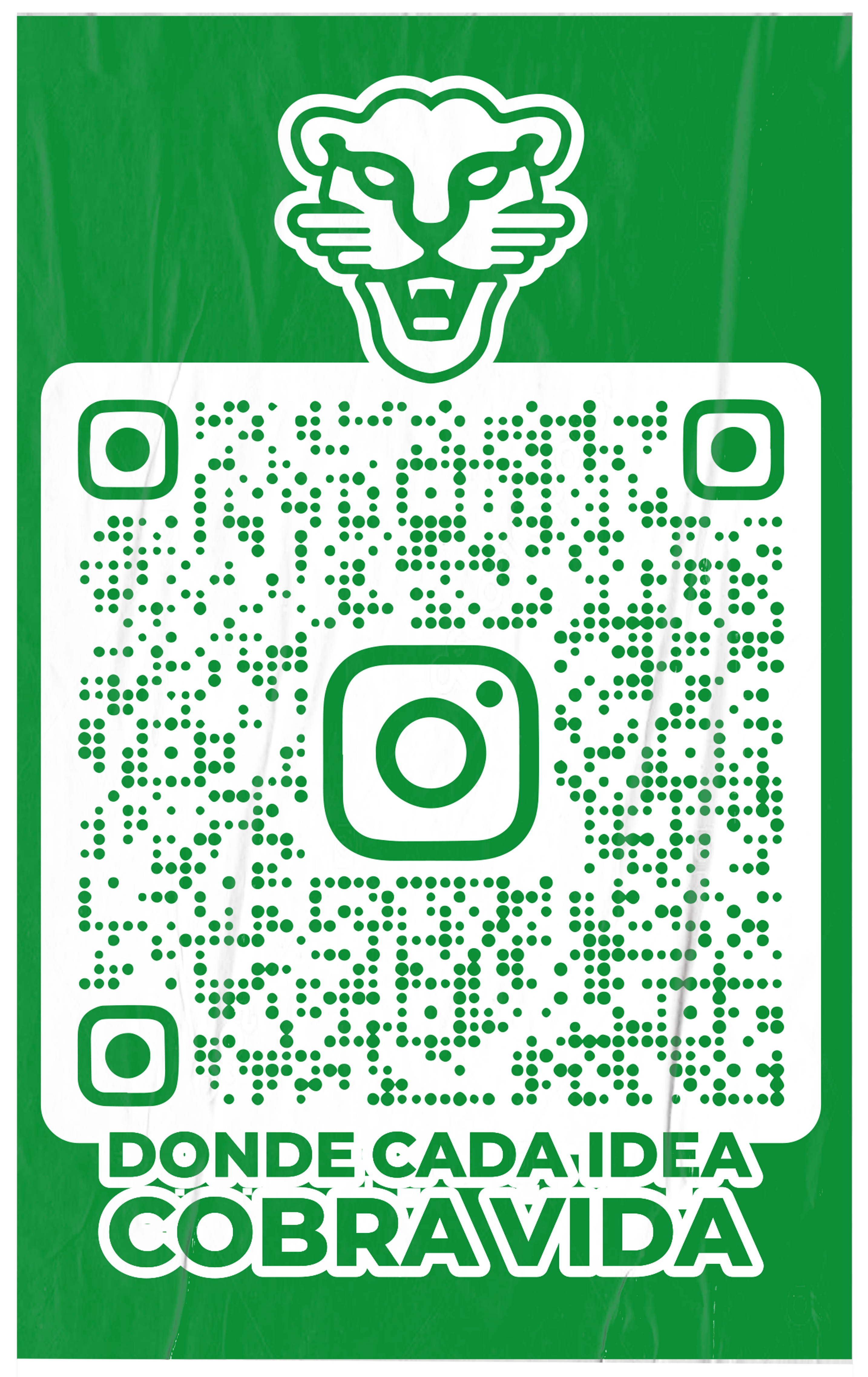 La Pepa - Flyer Branding